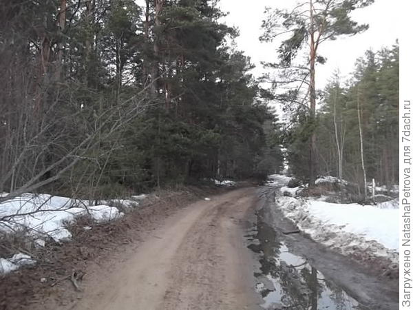 дорога домой, на выезде из райцентра