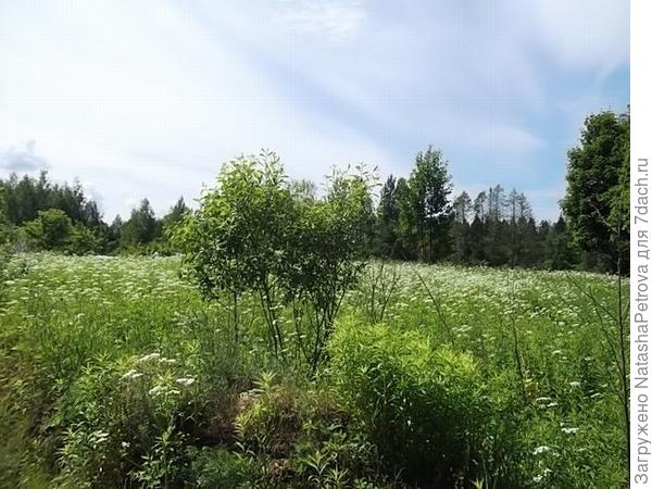 Покупайте землю - ведь её уже больше никто не производит