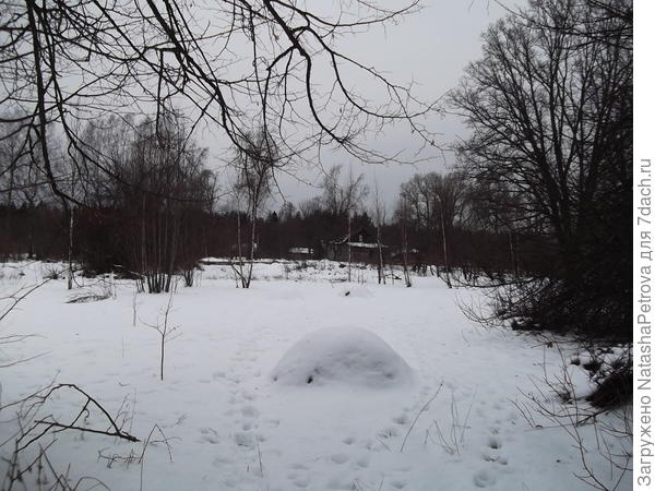 Вид на приусадебную часть участка