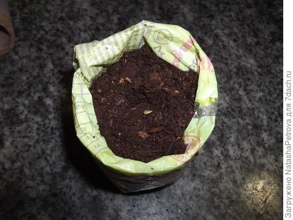 Грунт в рассадном стаканчике
