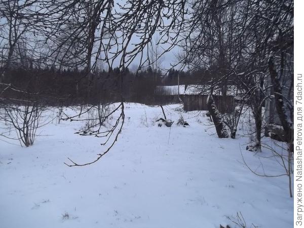 то же место, 4 января 2017