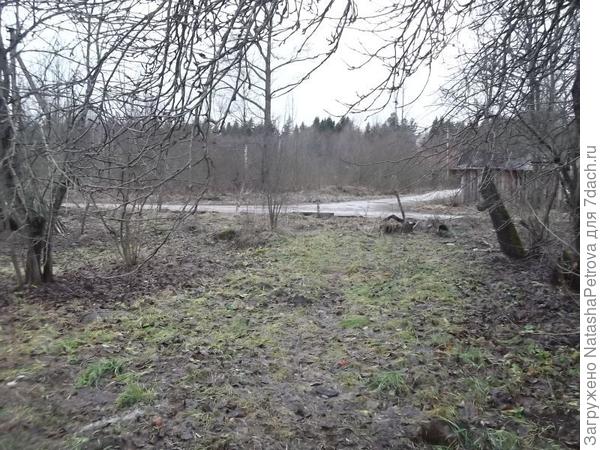 31 декабря 2016 - за 8 часов до Нового года