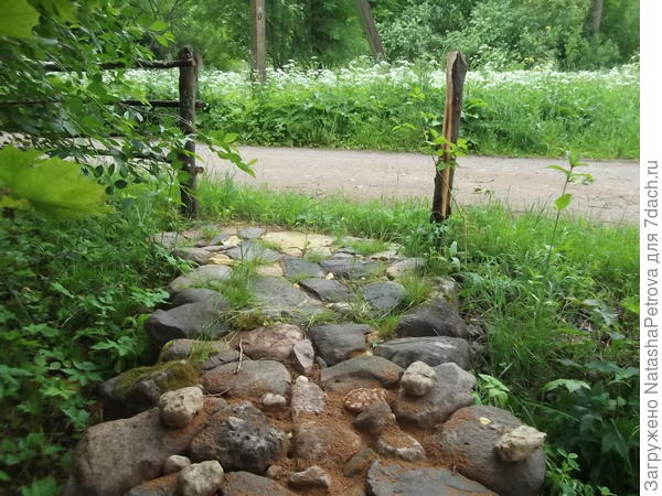 Кусочек моего мощёного двора! Вот усы у клубники сегодня-завтра обрежу, и пойду дальше мощением заниматься