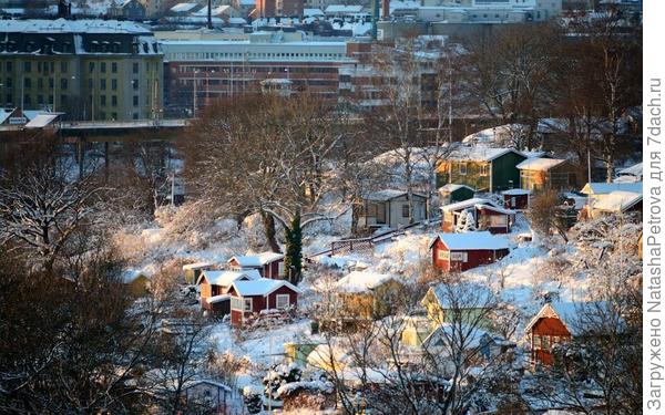 Зимняя панорама дач в садоводсте Tanto Södra, Стокгольм. Фото с сайта http://www.panoramio.com