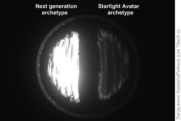 Свечение нового поколения генно-модифицированных растений (слева) в сравнении с Starlight Avatar (справа). Фото с сайта bioglowtech.com