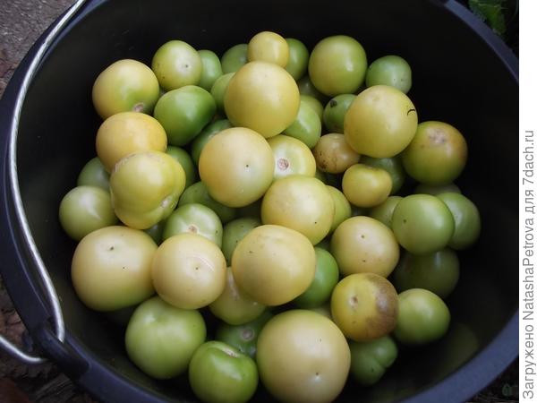 Он же, только без коробочек