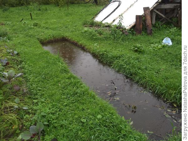 24 августа 2017