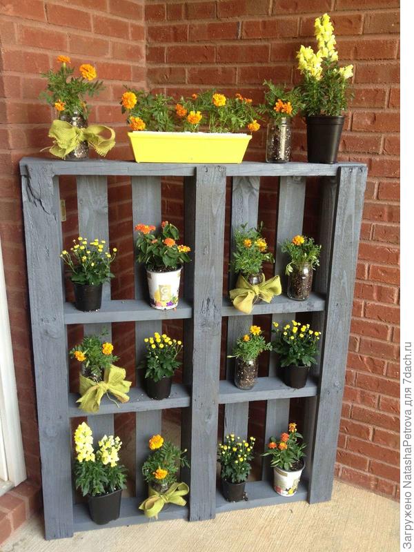 фото из интернета