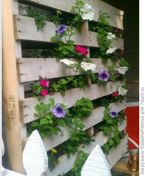 фото из интернета