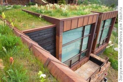 озеленение кровли. Фото из интернета