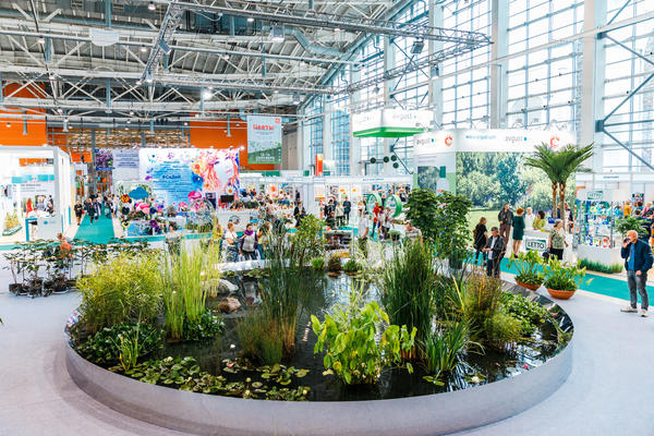 ЦВЕТЫ-2018 - это более 200 российских и зарубежных участников. Фото с сайта expo.vdnh.ru