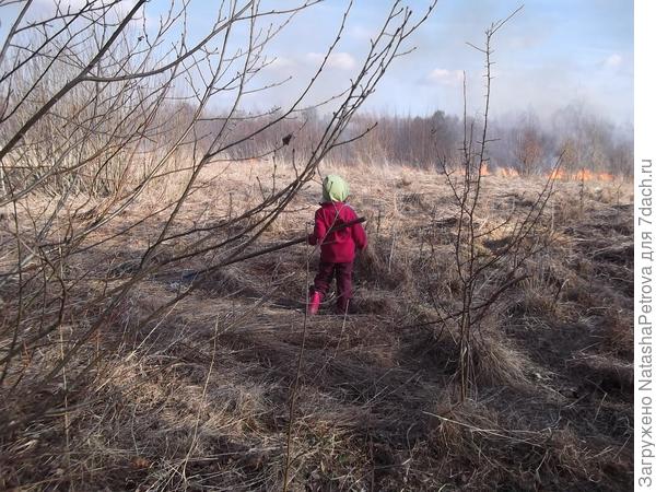 Горит трава на сельхозземлях, пограничных с нашим участком