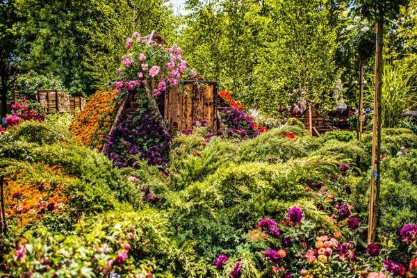 Конкурсный сад 2018 года. Фото с сайта http://flowershowmoscow.ru
