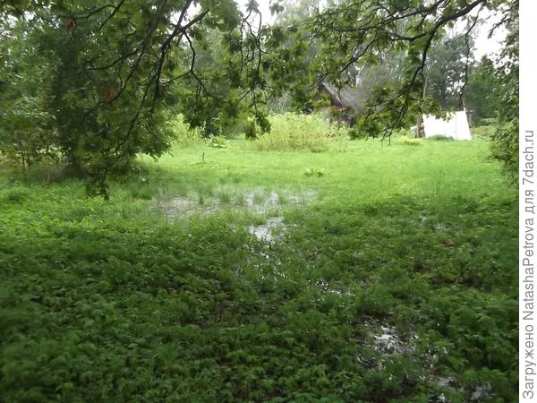 Вид на огород, август 2017