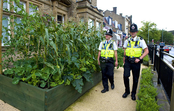 Невероятно съедобный Тодморден. Фото с сайта incredible-edible-todmorden.co.uk
