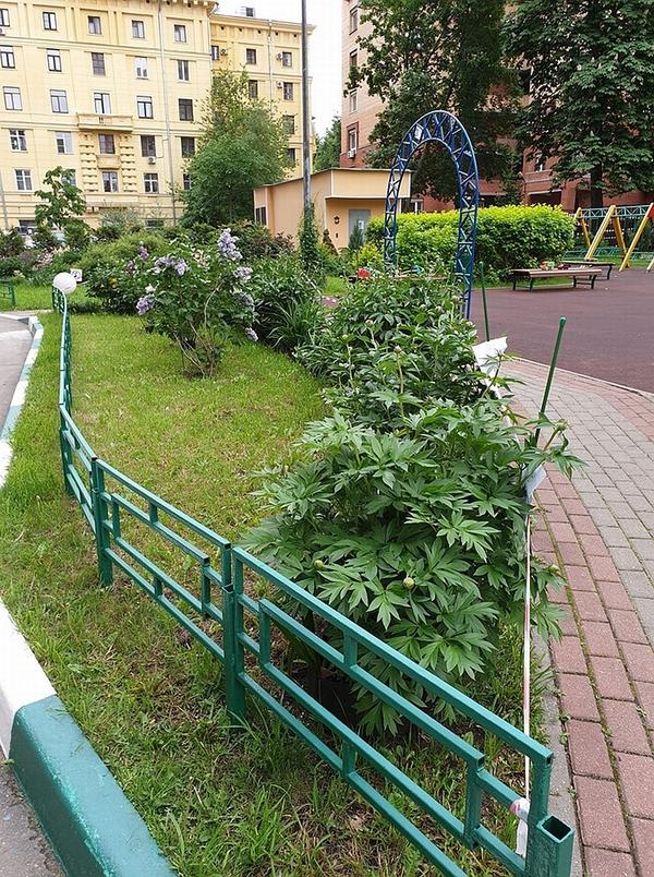 Надо помнить, что придомовая территория - общая. Фото Евгении Фирсовой