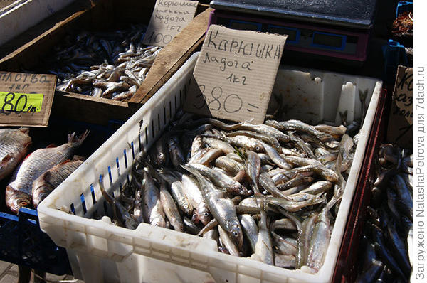 Корюшка на уличных лотках. Фото из интернета