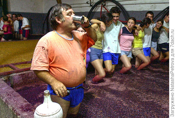 Не Челентано. Фото из интернета