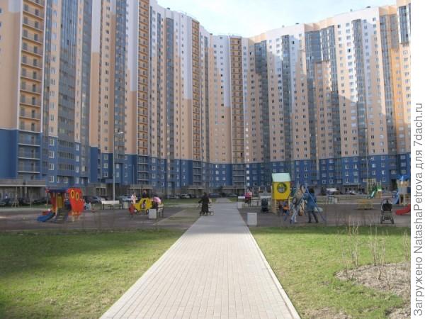 А вот двор современной застройки, Ул. Коллонтай, Санкт-Петербург, фото из Интернета