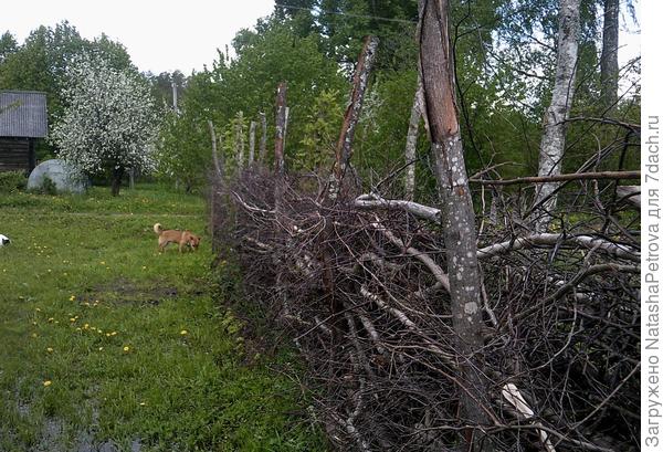 Он же. Плюс участок других соседей через дорогу. И еще Тофик (это то мелкое, рыжее, около забора