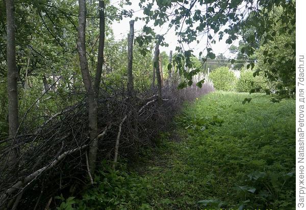 Забор в перспективе - метров 70 до Тофика и дороги