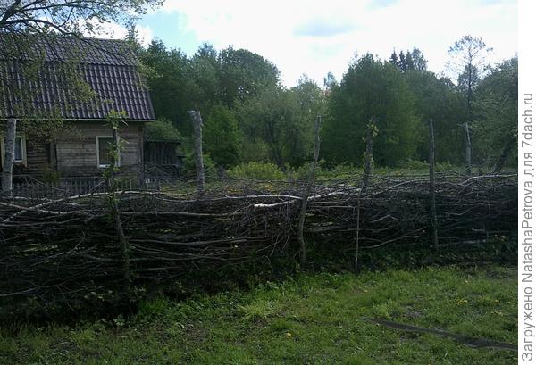 Забор. и соседский дом