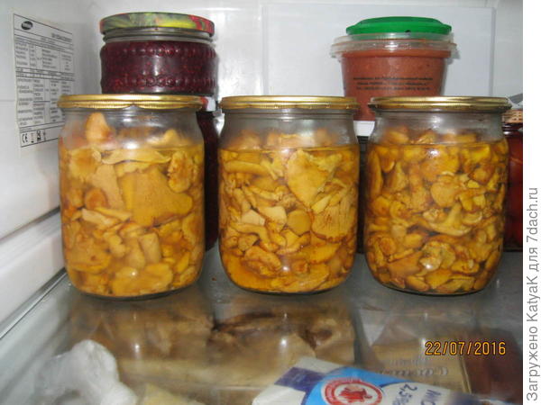 Лисички в собственном соку