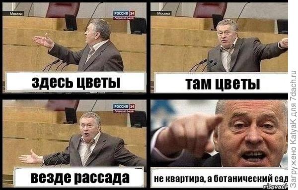 мннение моего мужа