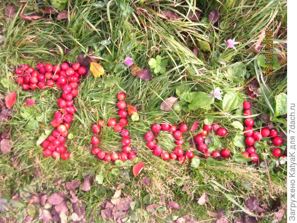 Китайка для любимого сайта)))