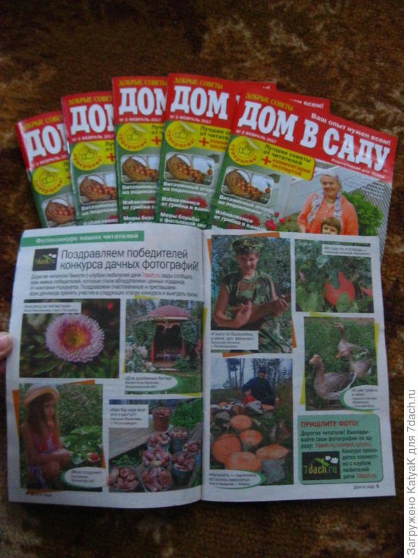 Купила несколько штук Дом в саду