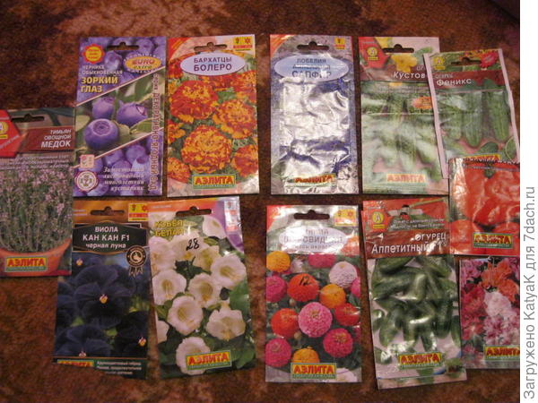 мои семена аэлита