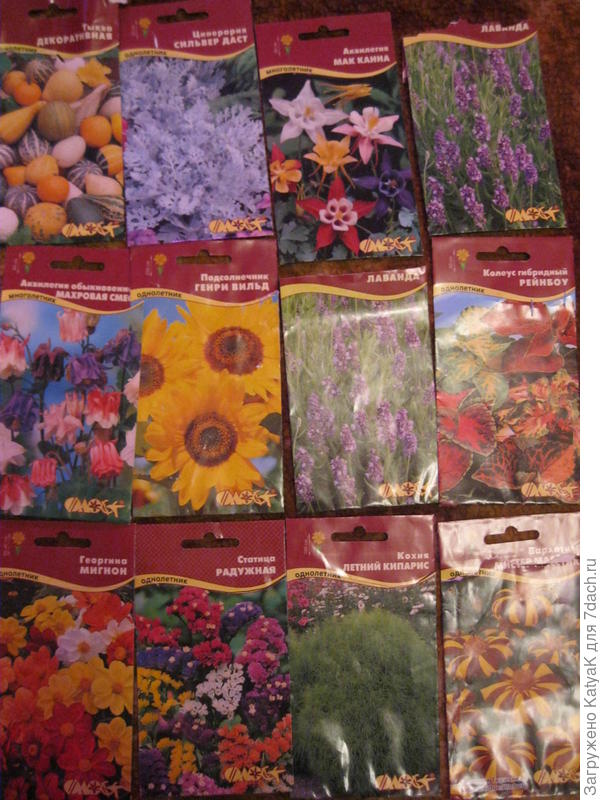 семена флос