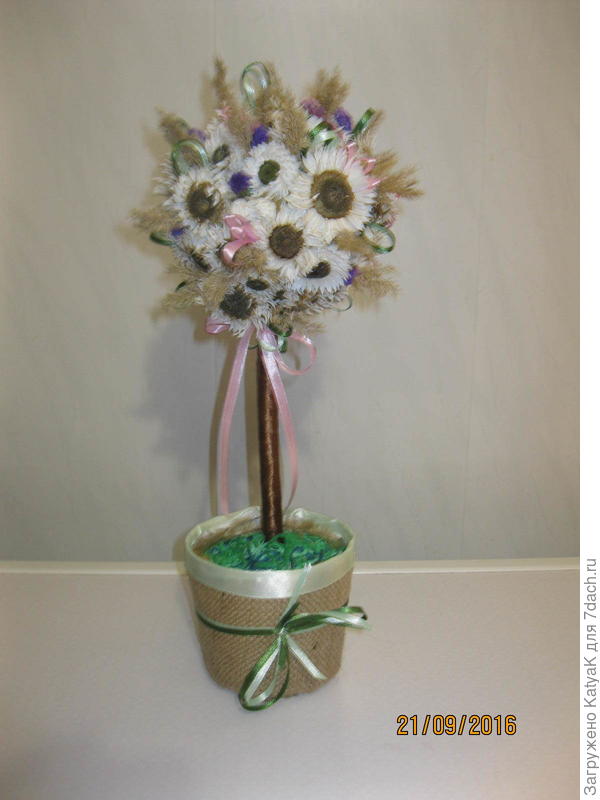 топиарий из сухоцветов
