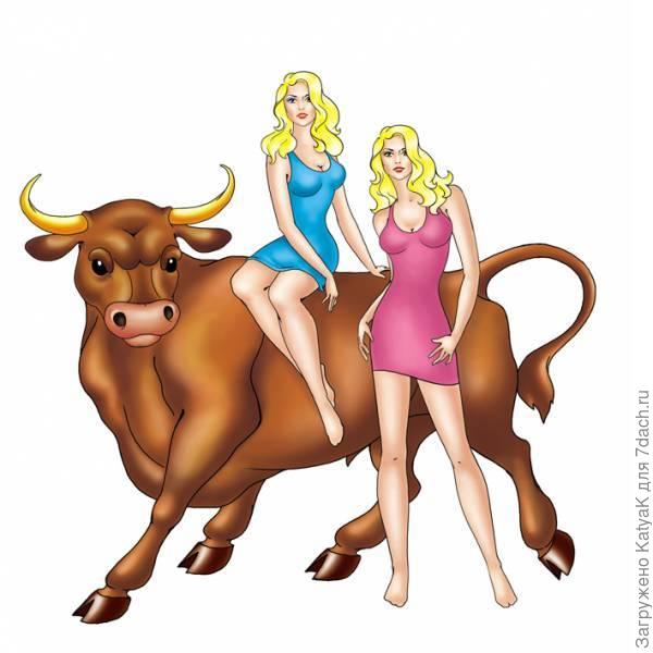 близнецы год быка