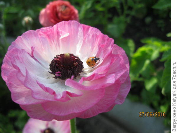 Это вам от меня!