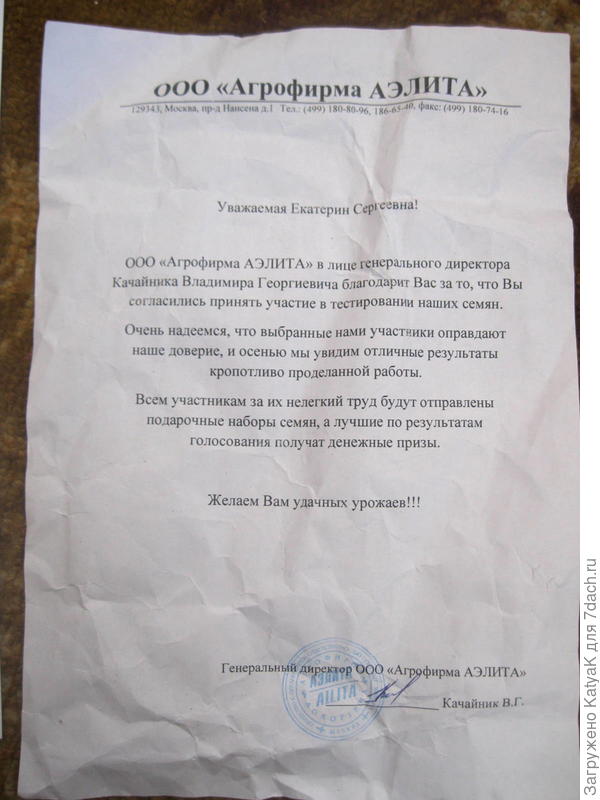 аэлита