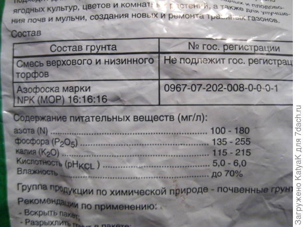 перец сладкий оранжевый лев. тест на всхожесть