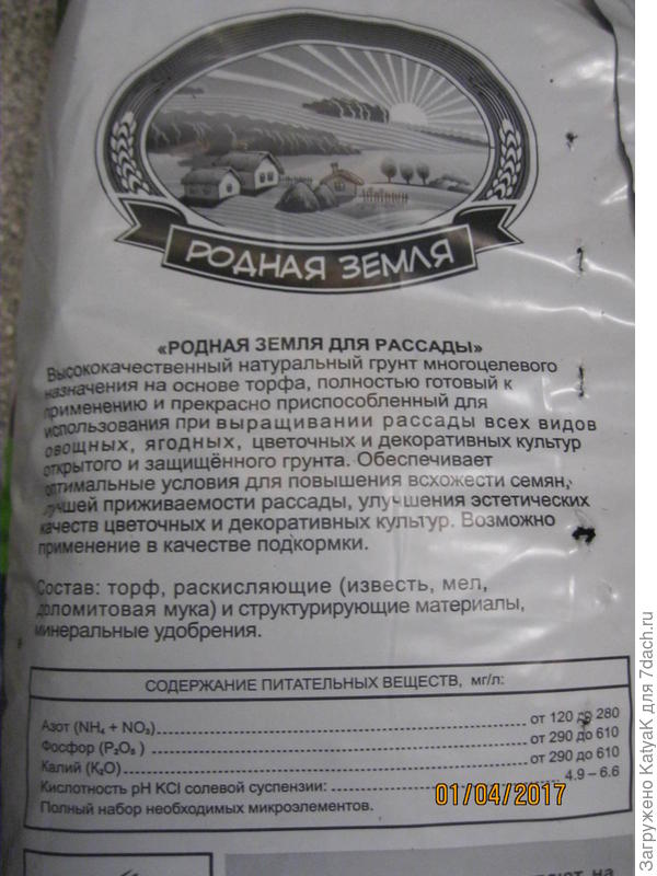 цитрусовый сад