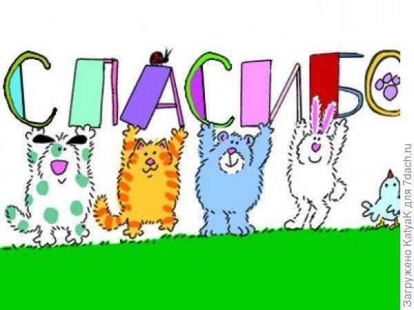 спасибо