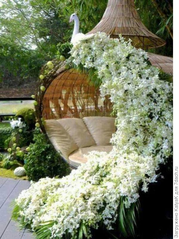 фото из интернета