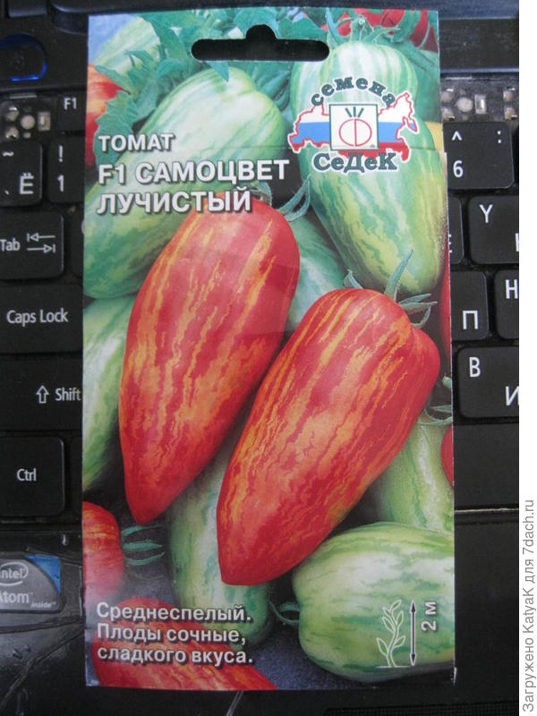 томаты семена