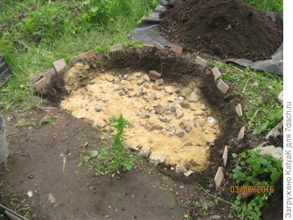 пряная клумба начало