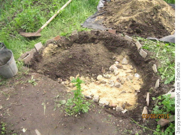 пряная клумба начало