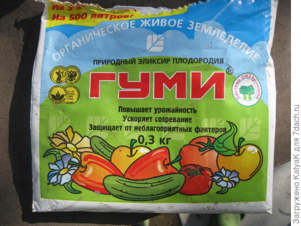 Перец сладкий Медный всадник