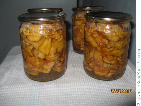 Лисички