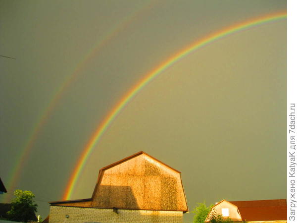 радуга
