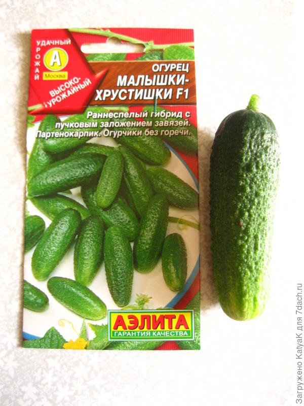 огурец