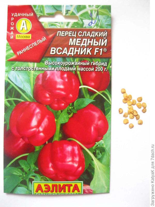 Сажать было решено 2 марта
