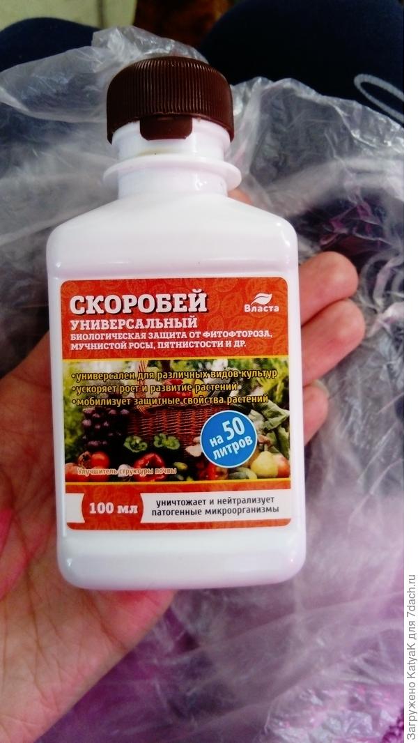 скоробей