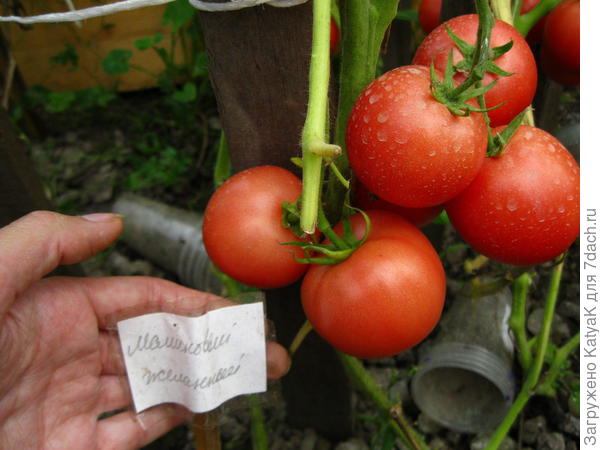 вдруг кому пригодится